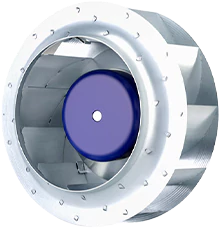 Wall ring fan